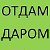 Отдам Даром или Продам ст.Северская