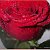 Богородские розы и тюльпаны от 55руб