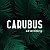 carubus