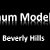 Platinum Models Inc. of Beverly Hills