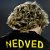 Pavel Nedved