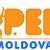 Y-PEER Moldova
