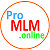ProMLM.online