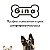 Корма для кошек и собак "GINA"(Джина) г.Оренбург