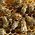 Общество Пчеловодов-любителей омской области
