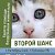 группа помощи бездомным животным "Второй Шанс"