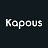 Kapous Cosmetics