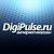 digipulse