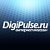 DigiPulse.ru