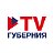 TV Губерния