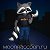 Moon Raccoon (Фотошоп для модниц)