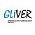 GLiVER.Company