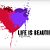 ♥ life is beautiful ♥