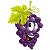 Виноград. Выращивание винограда. Саженцы винограда