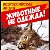 Всероссийская акция "Животные не одежда"