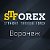 STForex  ВОРОНЕЖ