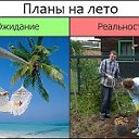 Пегас Туристик