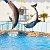 Дельфинарий Dolphin World в Хургаде