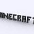 Встреча поклонников minecraft.