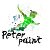 PeterPaint- картины по номерам