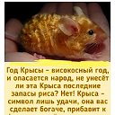 Светлана Космачева