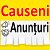 Anunturi in Causeni