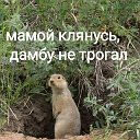 Олег Е