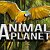 Канал "Animal planet"