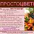 Акция с призами и скидками "Страницы ПРОСТОЦВЕТЫ в