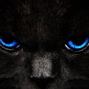 Чёрная кошка ~~~