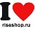 riseshop.ru