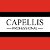 Capellis.ru - оборудование для салонов красоты