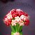 Цветы из шаров - Алмалык