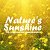 Nature's Sunshine Products (NSP, НСП)