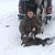 Охота и рыбалка в Кировской области