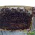 мед и продукты пчеловодства новолялинского района