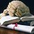 Уроки юридической грамотности