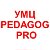Учебно-методический центр PEDAGOG.PRO