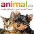 animal.ru