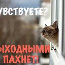 Михаил Котельников