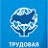 Колпинский район. Трудовая партия России.