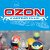 OZON karting club