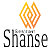 Бизнес-проект "Shanse". Достижения.