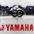 YAMAHA CLUB