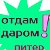 Отдам Даром в Питере. Бесплатно СПБ