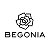 Begonia