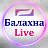 Балахна Live