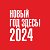 Новый год 2024 здесь — в Новосибирске!