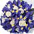 IRIS FLOWERS AND DESIGN