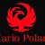 MARIO POLANI LTD